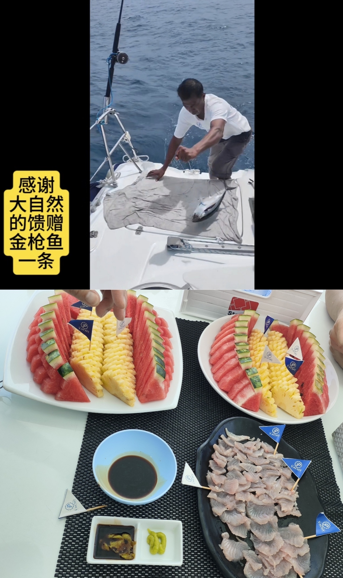 出海勾到的金枪鱼，片了生鱼
